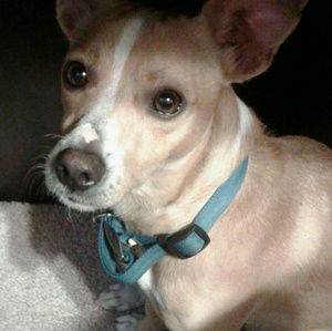 Meet your Posher, Bianca